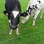 Darge Felbecke 公寓 施马伦贝格